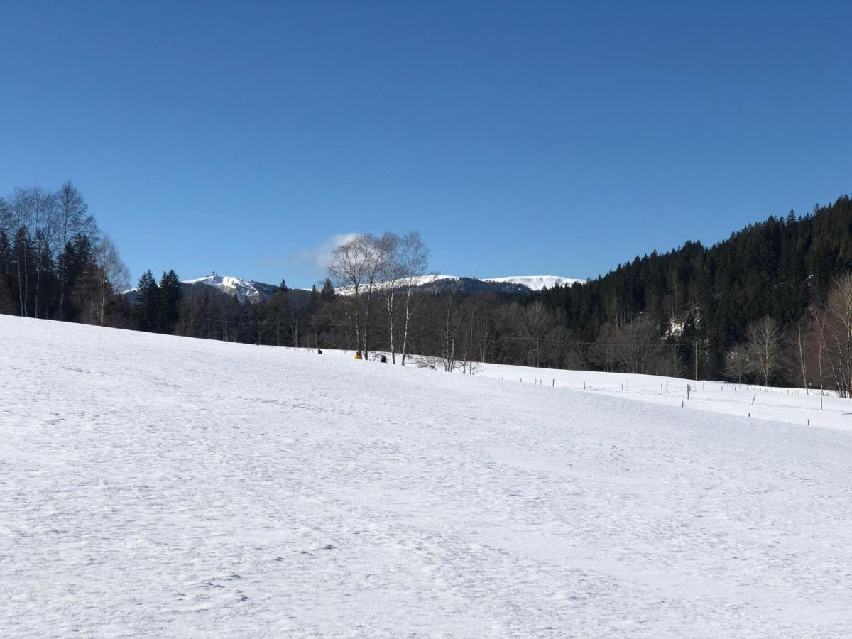 Gaestehaus Lickert Familie Dreher Hinterzarten Eksteriør bilde